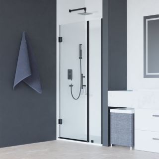 Душевая дверь RGW HO-012B 350601200-14 100см чёрный